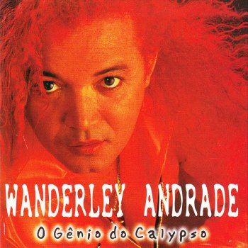 Wanderley Andrade Brega Funk
