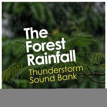 Thunderstorm Sound Bank Storm Runs through Forest