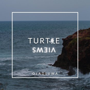 Olaoluwa Turtle Views