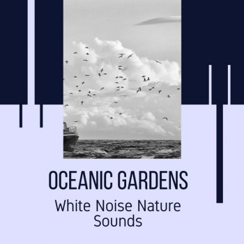 Enthralling Ocean Waves Sound Calming Waves Sound