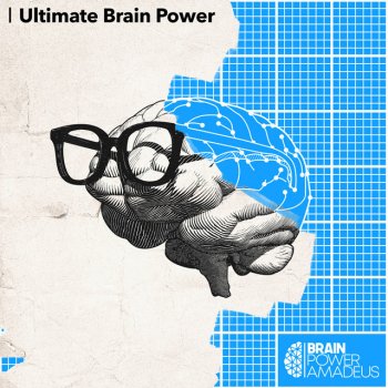 Brain Power Amadeus Improvements