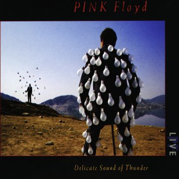 Pink Floyd Shine On You Crazy Diamond - Live