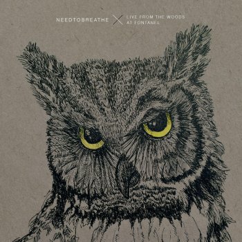 NEEDTOBREATHE Wasteland (Live From the Woods)