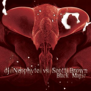 Neophyte feat. Scott Brown Blow your brains