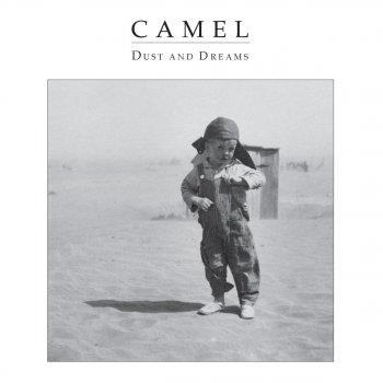 Camel Broken Banks