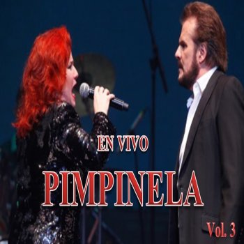 Pimpinela Yo Que Soy (En Vivo)