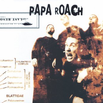 Papa Roach Dead Cell (Live Radio 1 Evening Session)