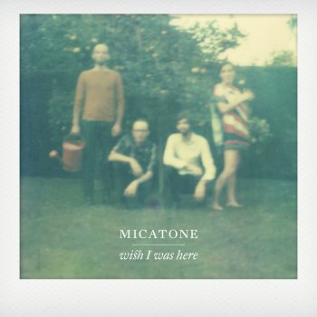 Micatone Handbrake