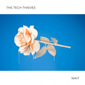 The Tech Thieves Wait