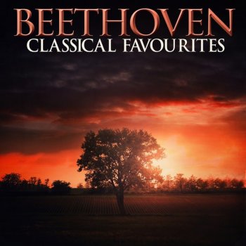 Ludwig van Beethoven feat. Bernard Haitink Symphony No. 8 in F, Op. 93 : 3. Tempo di menuetto