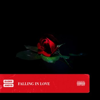 Anoyd Falling In Love
