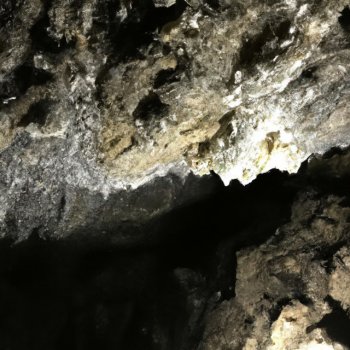 Исполнитель Brady Lowery, альбом Its Always Dark