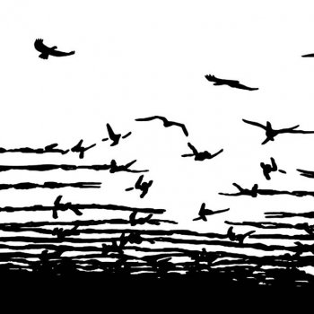 World is Our Country feat. scott crow Ideas of Collective Liberation