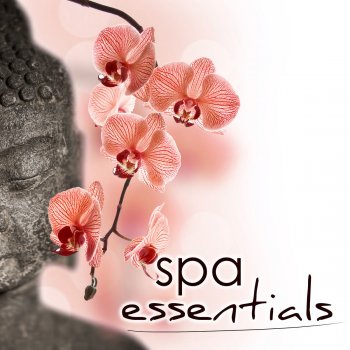 Spa Music Collective Zen Garden (Spa Massage Sounds)