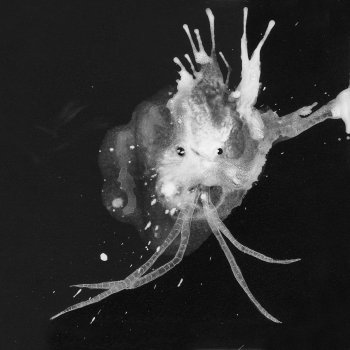 Sigur Rós 64º46'34.1"N 14º02'55.8"W