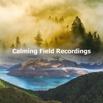 Nature Field Recordings Waiting Crystals