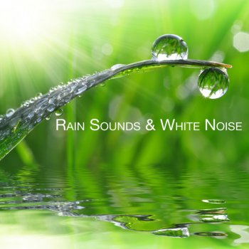 Rain Sounds & White Noise Rainy Gale