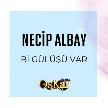 Necip Albay Bi Gülüşü Var