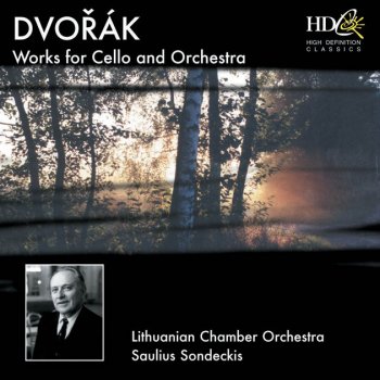 Lithuanian Chamber Orchestra Cello Concerto in B Minor, Op. 104: : II. Adagio ma non troppo