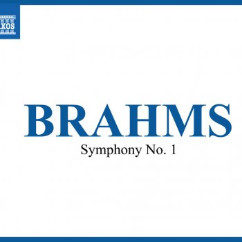 Johannes Brahms, London Philharmonic Orchestra & Marin Alsop Symphony No. 1 in C Minor, Op. 68: II. Andante sostenuto