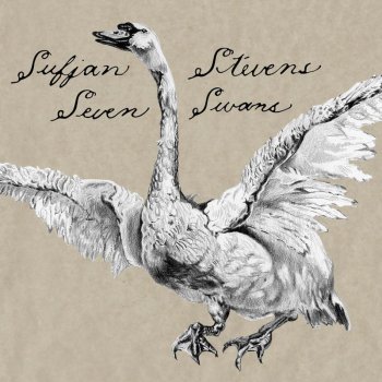 Sufjan Stevens The Transfiguration