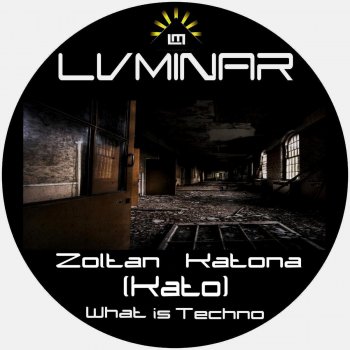 Zoltan Katona (Kato) What Is Techno (DJ Style Remix)