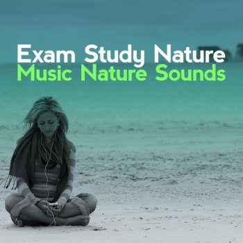 Exam Study Nature Music Nature Sounds Water in Motion