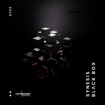 Synesis Black Box