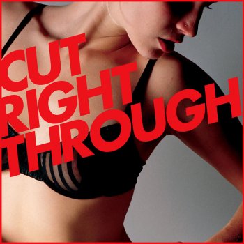 Cicada Cicada Cut Right Through (DJ Delicious Remix)