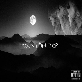 Исполнитель DETRUU, альбом Mountain top