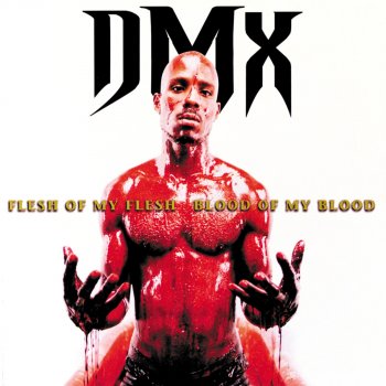DMX Coming From