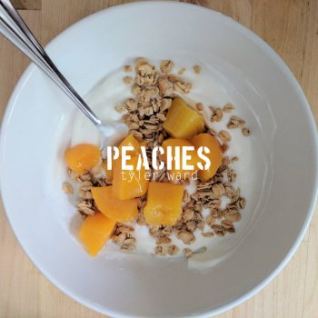 Tyler Ward Peaches - Acoustic