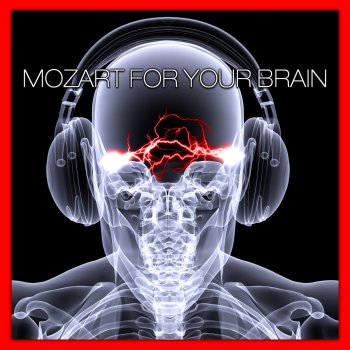 Kurt Berger feat. Vienna Mozart Ensemble & Herbert Kraus Flute Concerto No. 2 in D Major, K. 314: II. Adagio Ma Non Troppo