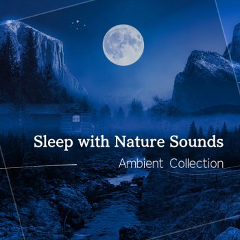 Исполнитель RelaxHealingSound, альбом Sleep with Nature Sounds - Ambient Collection