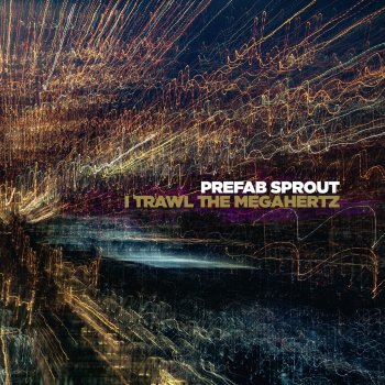 Prefab Sprout Sleeping Rough