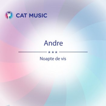 Andre Noapte De Vis