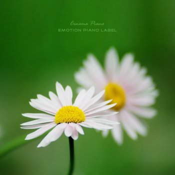 Cinema Piano 사랑의 자장가