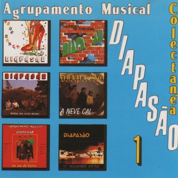 Agrupamento Musical Diapasão Agora Sou Feliz