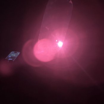 Исполнитель Spree!, альбом lunch lady