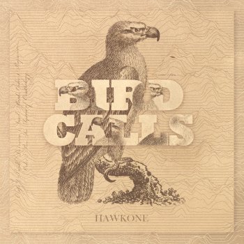 HawkOne Soaring Fowl