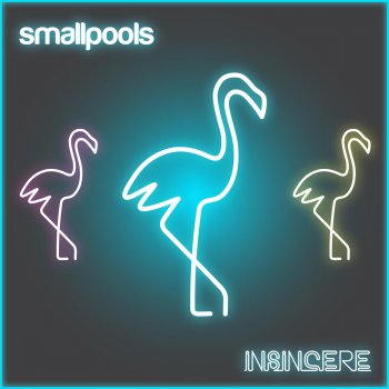 Smallpools Insincere