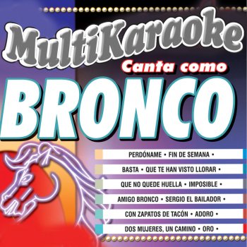 Multi Karaoke Amigo Bronco