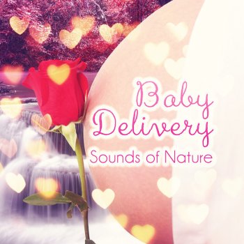 Nature Music Pregnancy Academy Sea Waves