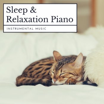 Relax α Wave Body and Soul