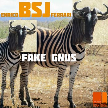 Enrico BSJ Ferrari Fake Gnus
