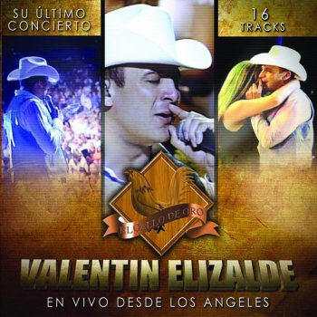 Valentin Elizalde Volveré a Amar (En Vivo Desde Los Angeles, CA. / 2006)