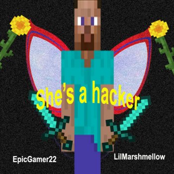 EpicGamer22 feat. LilMarshmellow She's a Hacker