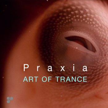 Art Of Trance Praxia (Manu Riga Remix)