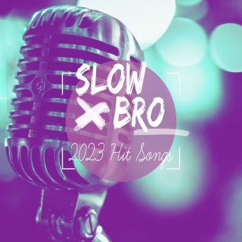 SLOW_BRO Too Much (The Remixes)