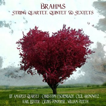 Brahms; Amadeus Quartet String Quartet in B-Flat Major, Op. 67: II. Andante